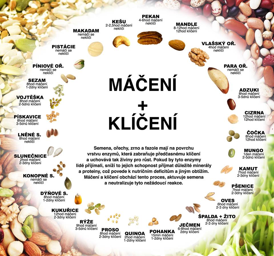 Klen a men