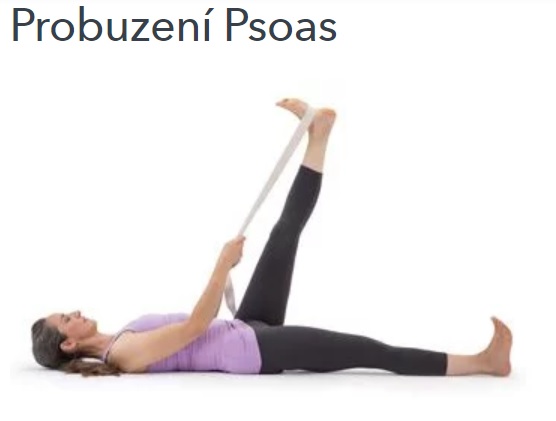 probuzen psoas - obrzek cviku