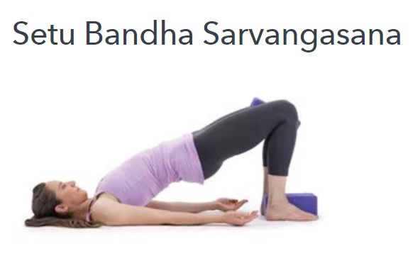setu bandha sarvangasana - protahovac cvik
